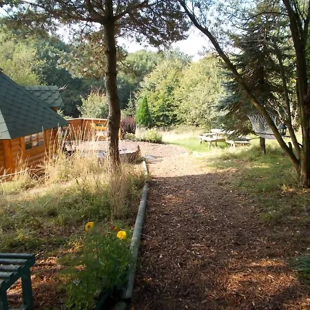 Lodge Tudor With Pool & Bbq Liskeard