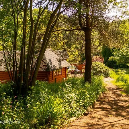 Tudor With Pool & Bbq Lodge *